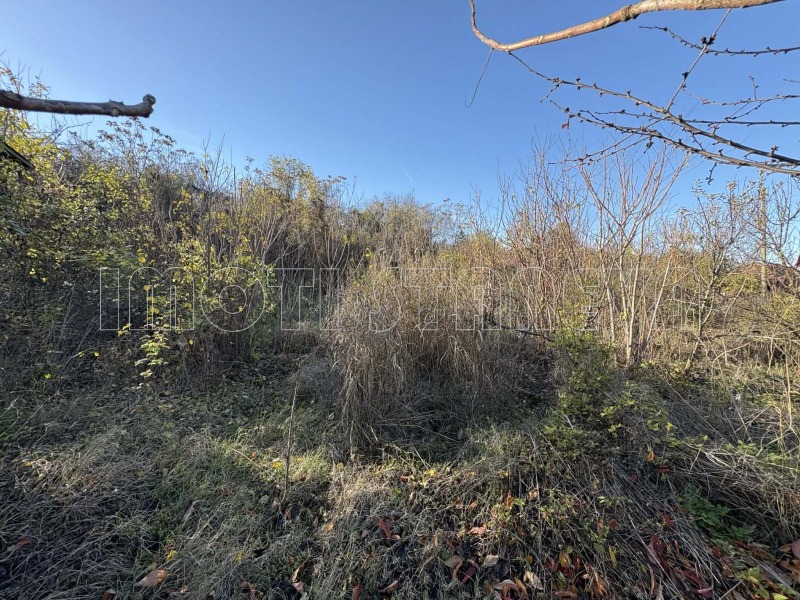 Продава КЪЩА, с. Цар Симеоново, област Видин, снимка 4 - Къщи - 52632820