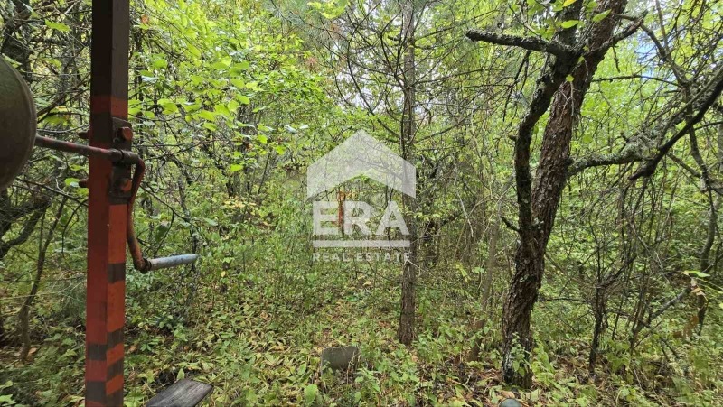 Продава ПАРЦЕЛ, гр. София, с. Герман, снимка 4 - Парцели - 53504640