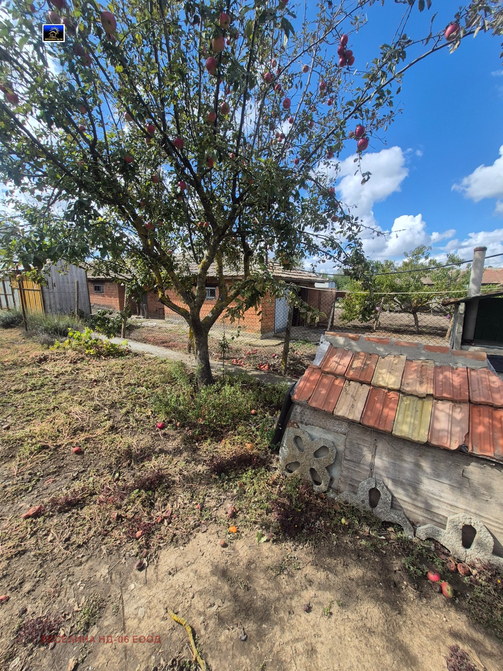Продава КЪЩА, с. Соколово, област Добрич, снимка 10 - Къщи - 56359456