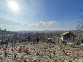 ����� ������� ������,���� �����, �-� ��������