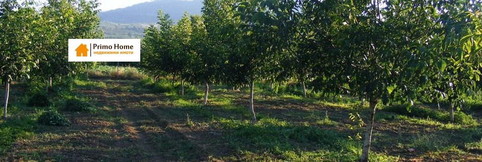 Продава ЗЕМЕДЕЛСКА ЗЕМЯ, с. Сваленик, област Русе, снимка 2 - Земеделска земя - 53702396