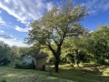 Продава КЪЩА, област Перник, с. Касилаг • 52500 € • 69604126 3