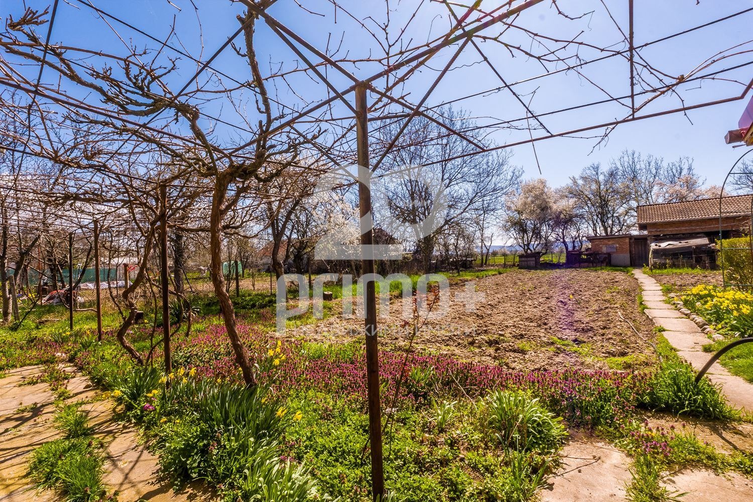 ������� ���� | Imot.bg � ����������� 11