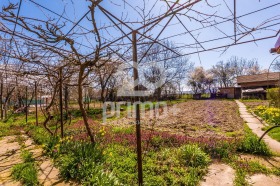 ������� ���� | Imot.bg � ����� ������ 11