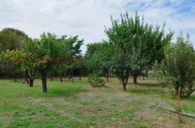 For Sale Plot