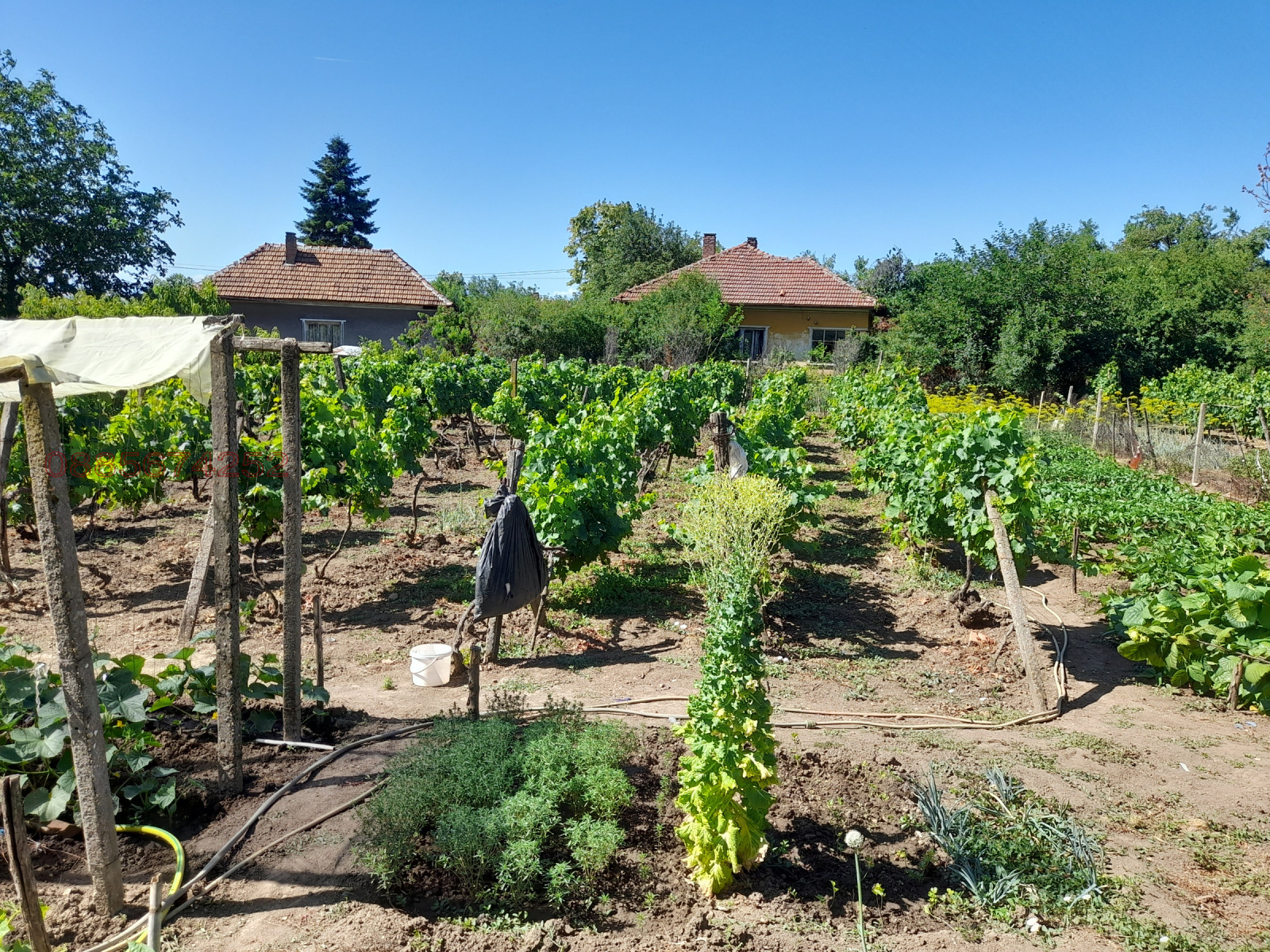 ������� ���� | Imot.bg � ����������� 6