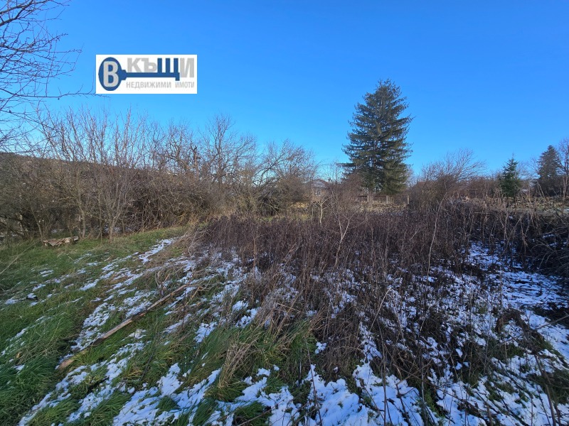 Продава ПАРЦЕЛ, с. Пушево, област Велико Търново, снимка 4 - Парцели - 53044197