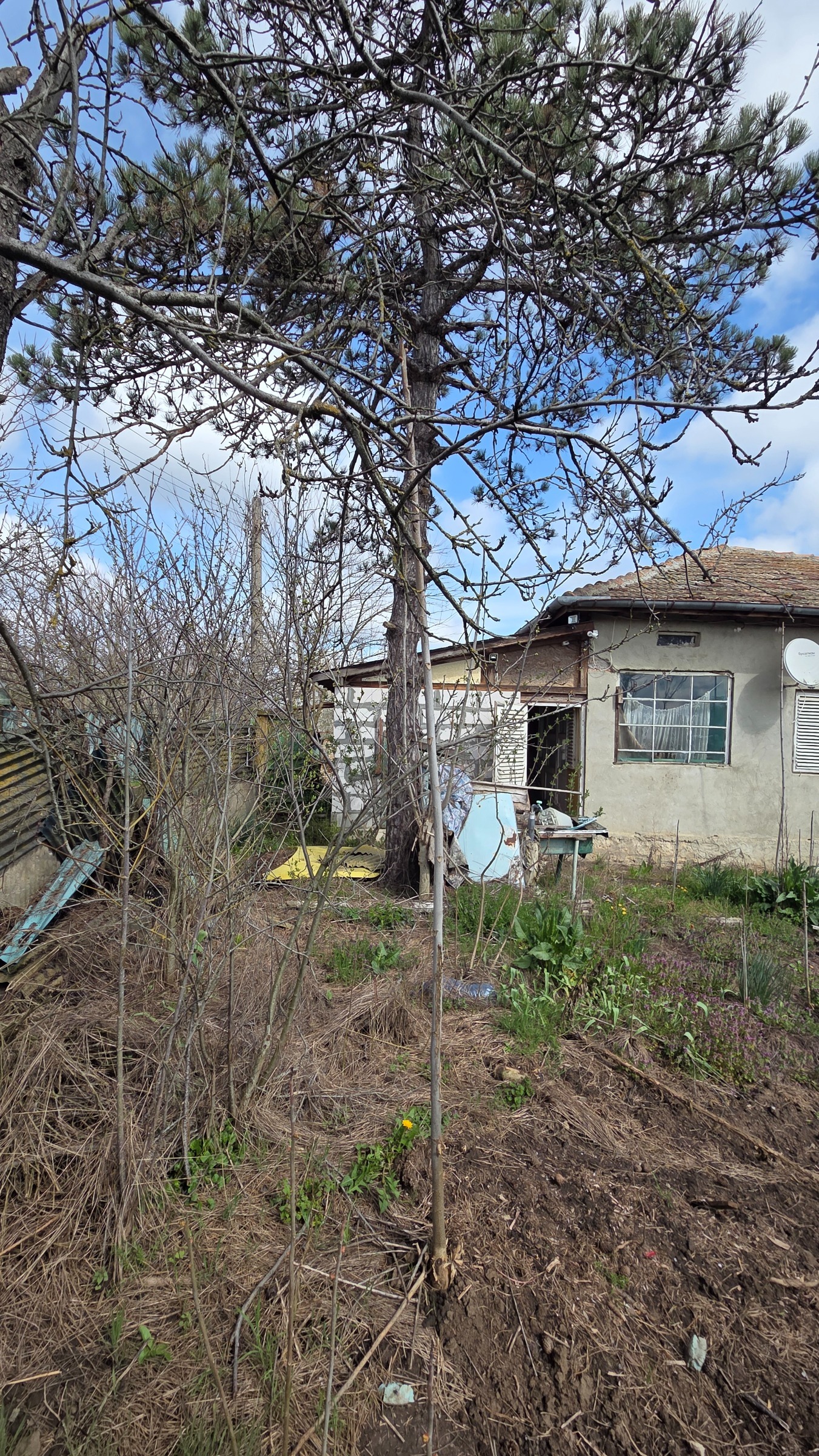 Продава КЪЩА, с. Василево, област Добрич, снимка 4 - Къщи - 54177167