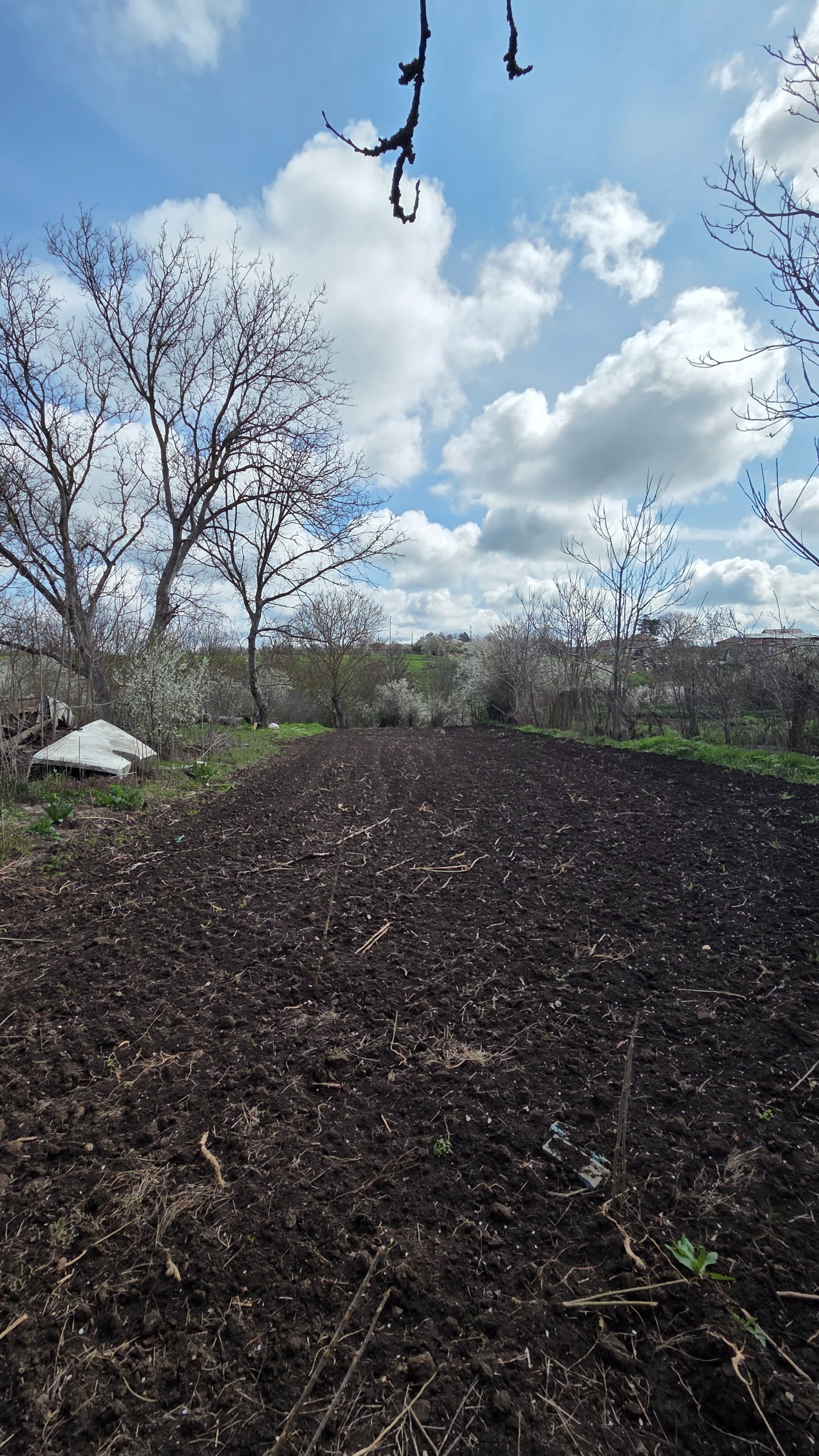 Продава КЪЩА, с. Василево, област Добрич, снимка 2 - Къщи - 54177167