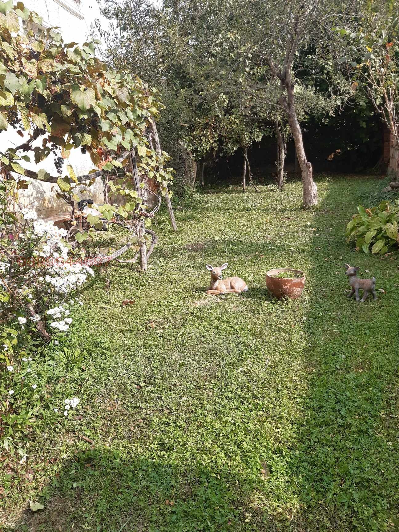 ������� ���� | Imot.bg � ����������� 2