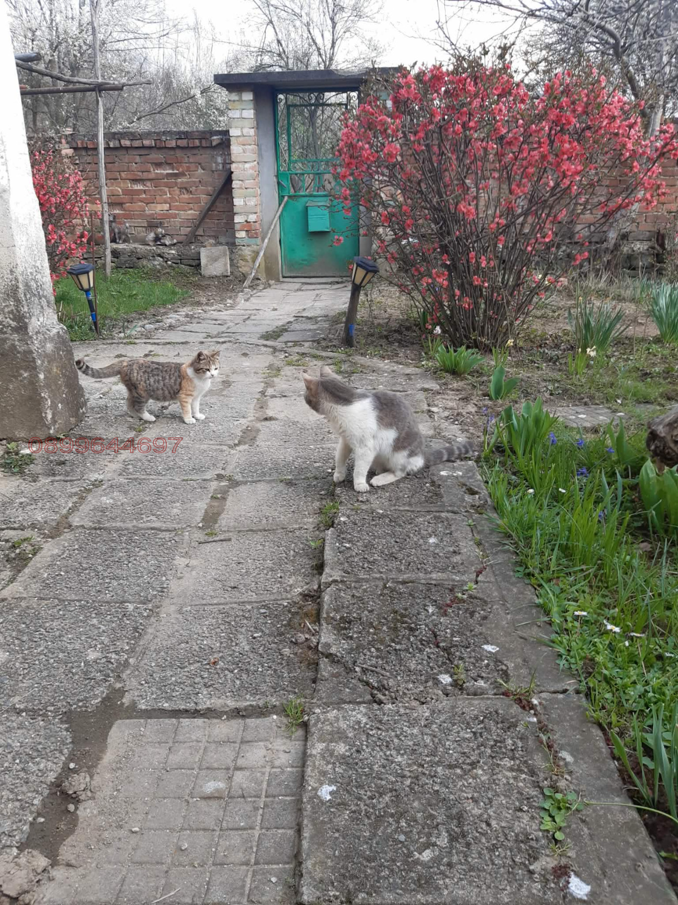 ������� ���� | Imot.bg � ����������� 10