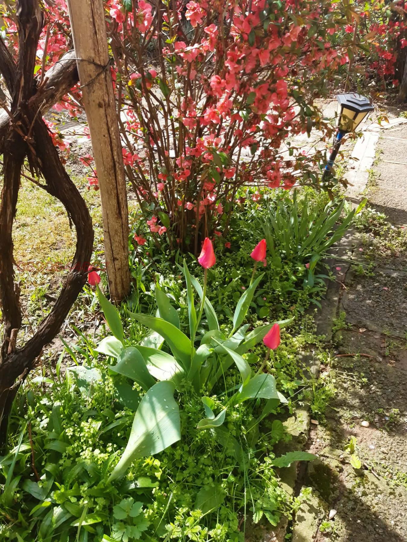 ������� ���� | Imot.bg � ����������� 12