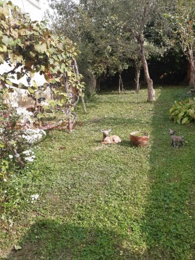 ������� ���� | Imot.bg � ����� ������ 2