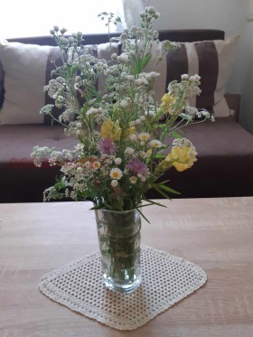 ������� ���� | Imot.bg � ����� ������ 8