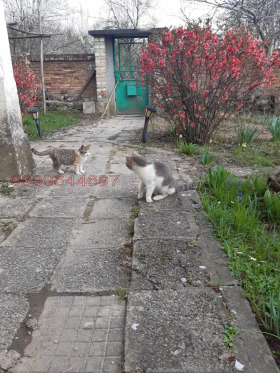 ������� ���� | Imot.bg � ����� ������ 10