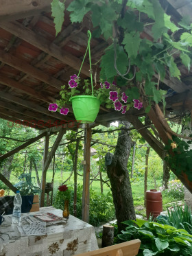 ������� ���� | Imot.bg � ����� ������ 13