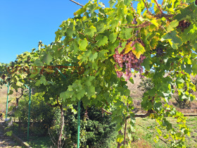 ������� ���� | Imot.bg � ����� ������ 17