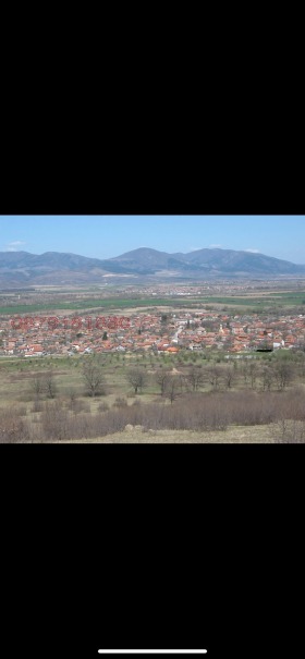 ����� ������� ������,�. ������, ������ ����� ������