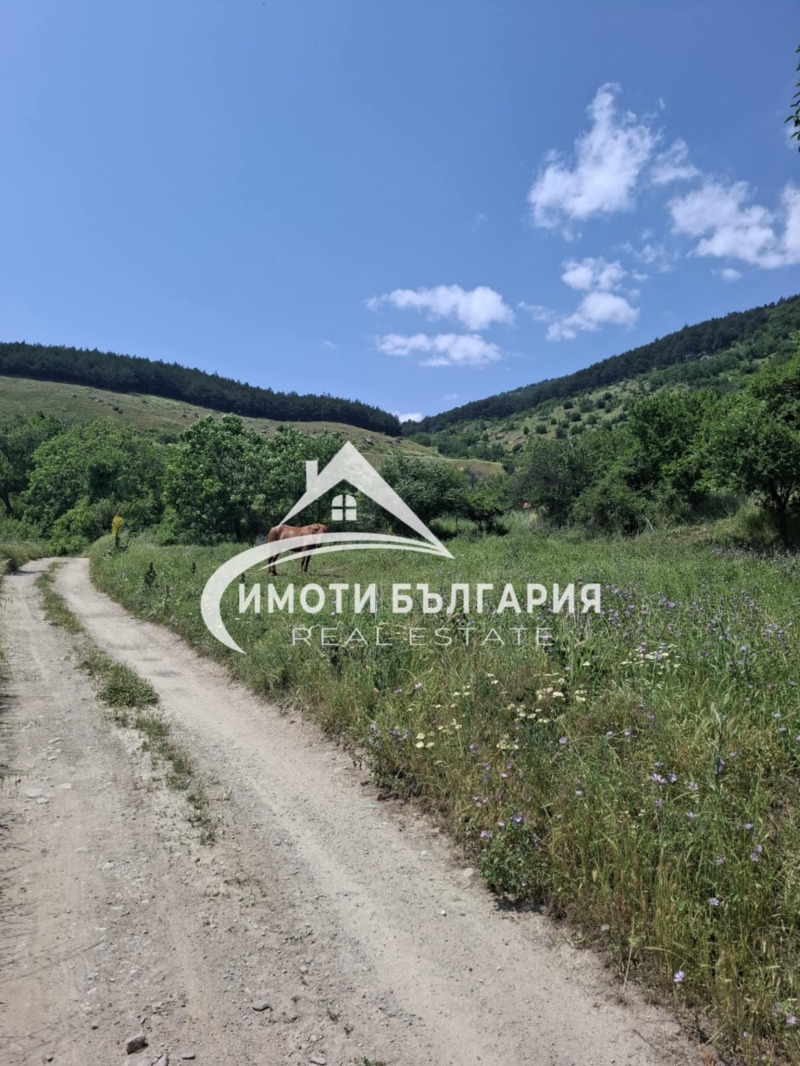 Продается  Сюжет область Пловдив , Сопот , 750 кв.м | 63112606 - изображение [3]