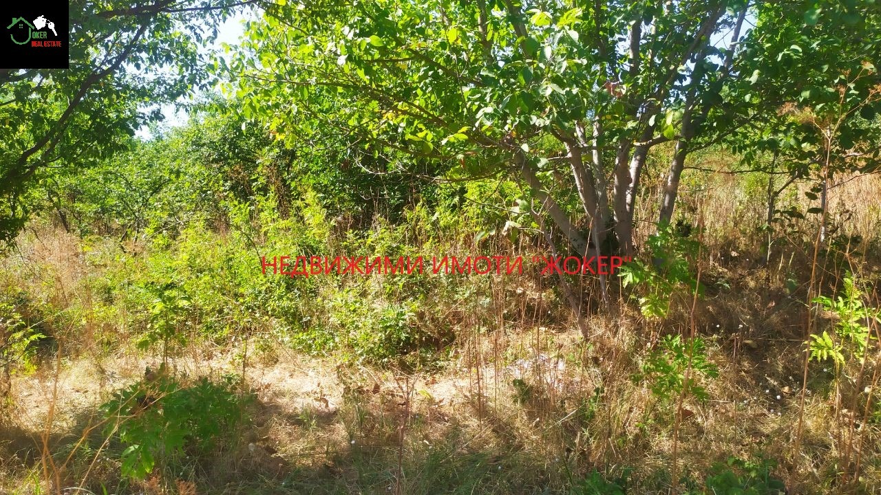 ������� ������ | Imot.bg � ����������� 8