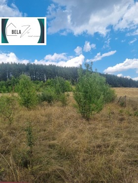 Продава парцел област Перник с. Лесковец - [1] 