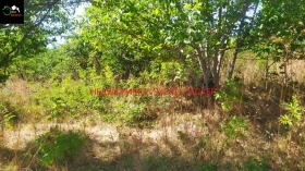 ������� ������ | Imot.bg � ����� ������ 8