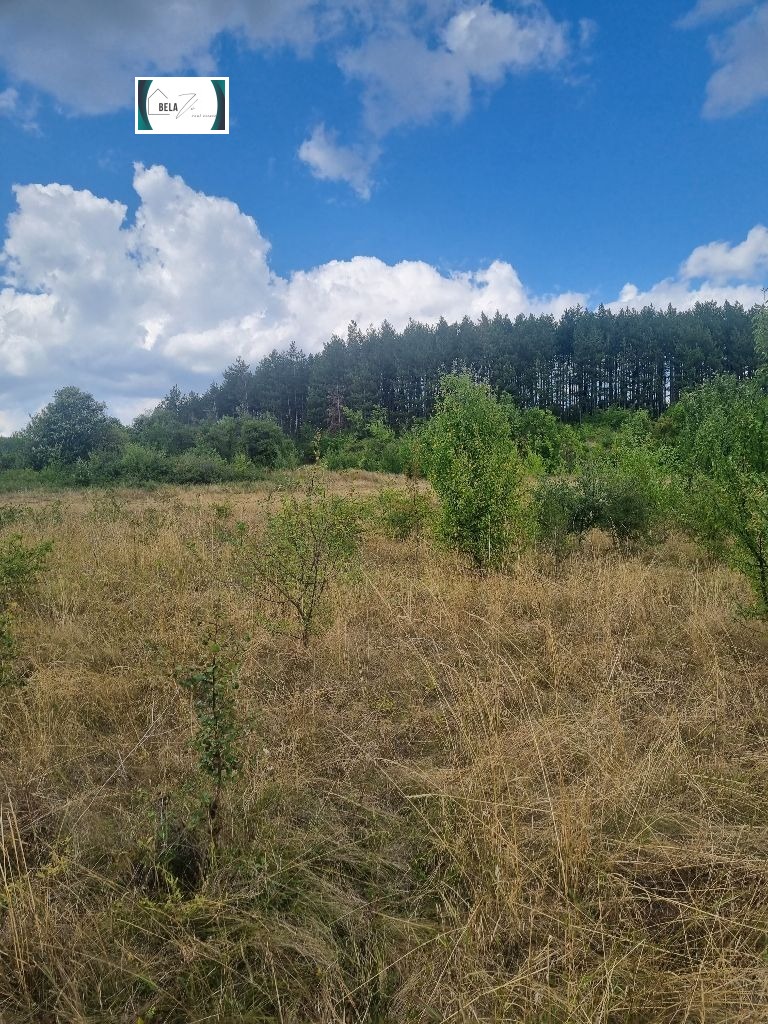 For Sale  Plot region Pernik , Leskovets , 957 sq.m | 90385521 - image [2]