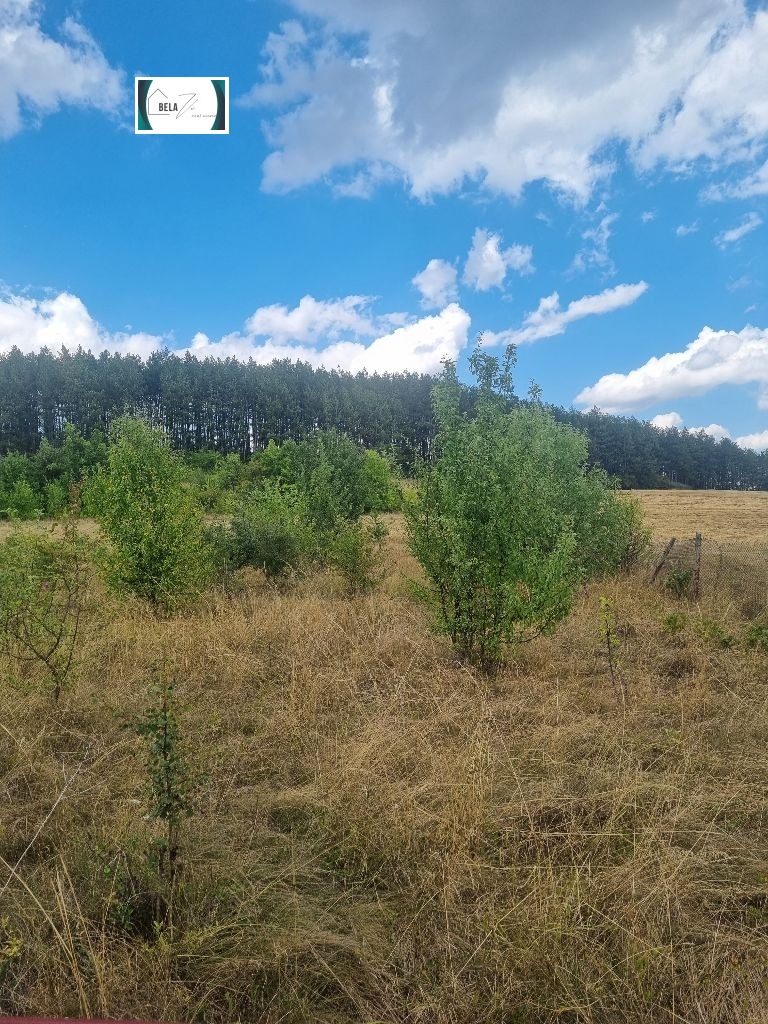 Продава  Парцел, област Перник, с. Лесковец • 29 500 € • ID 93186527 — holmes.bg - [1] 