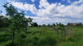 Продава КЪЩА, с. Цар Асен, област Пазарджик, снимка 12