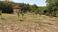 Продава КЪЩА, с. Брусен, област Враца, снимка 5