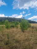 Продава ПАРЦЕЛ, област Перник, с. Лесковец • 28000 € / 54763.24 лв. • 93186527 1