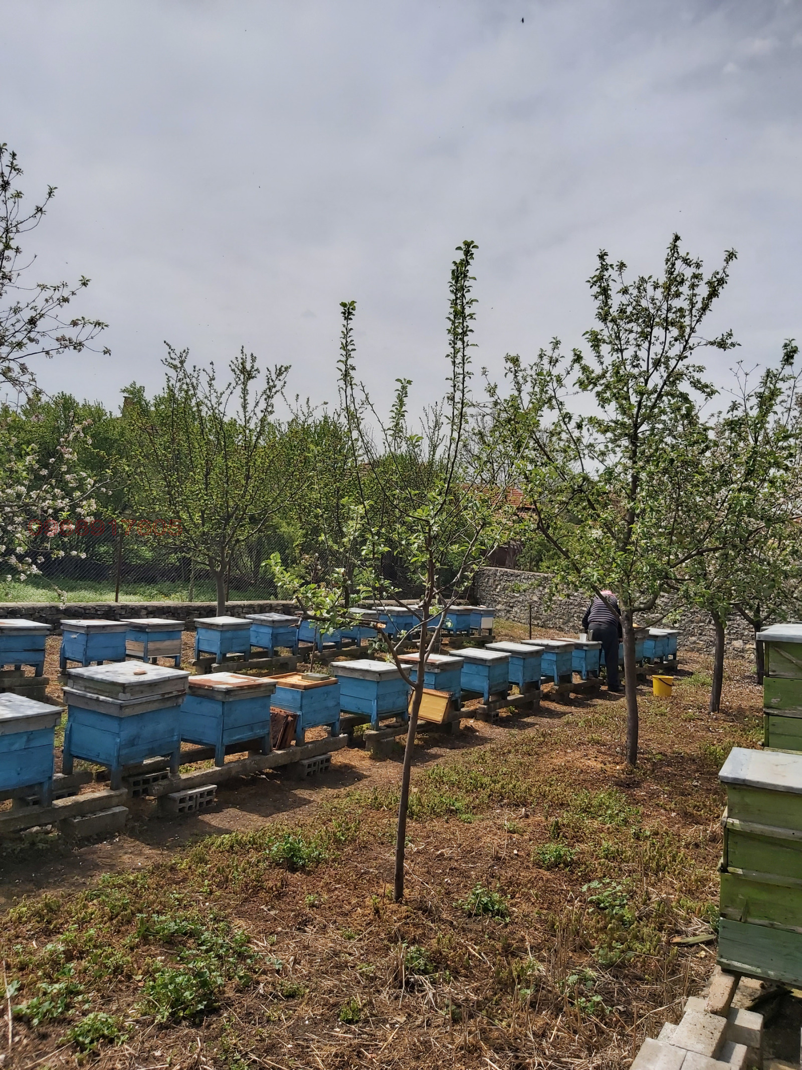 ������� ���� | Imot.bg � ����������� 12