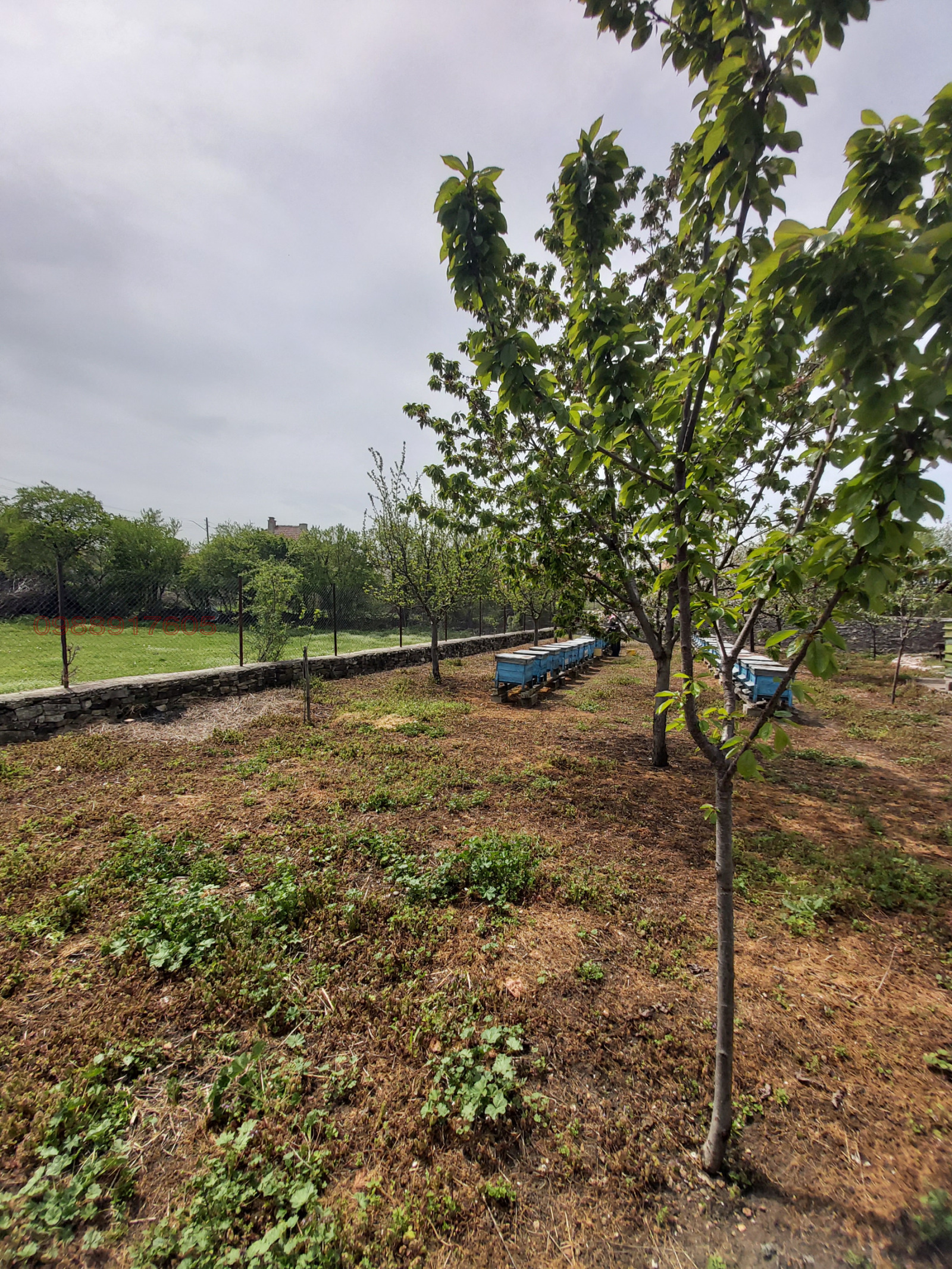 ������� ���� | Imot.bg � ����������� 8