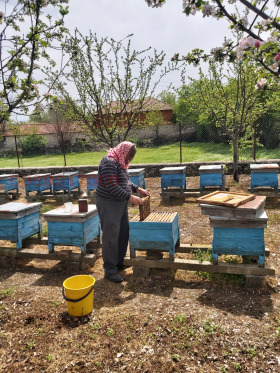 ������� ���� | Imot.bg � ����� ������ 14