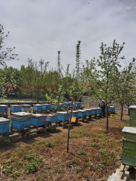 ������� ���� | Imot.bg � ����� ������ 12