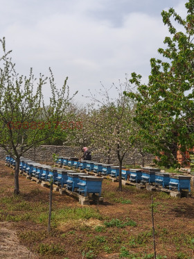 ������� ���� | Imot.bg � ����� ������ 13