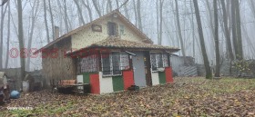 ����� ������� ����,��. ������, ������ �������