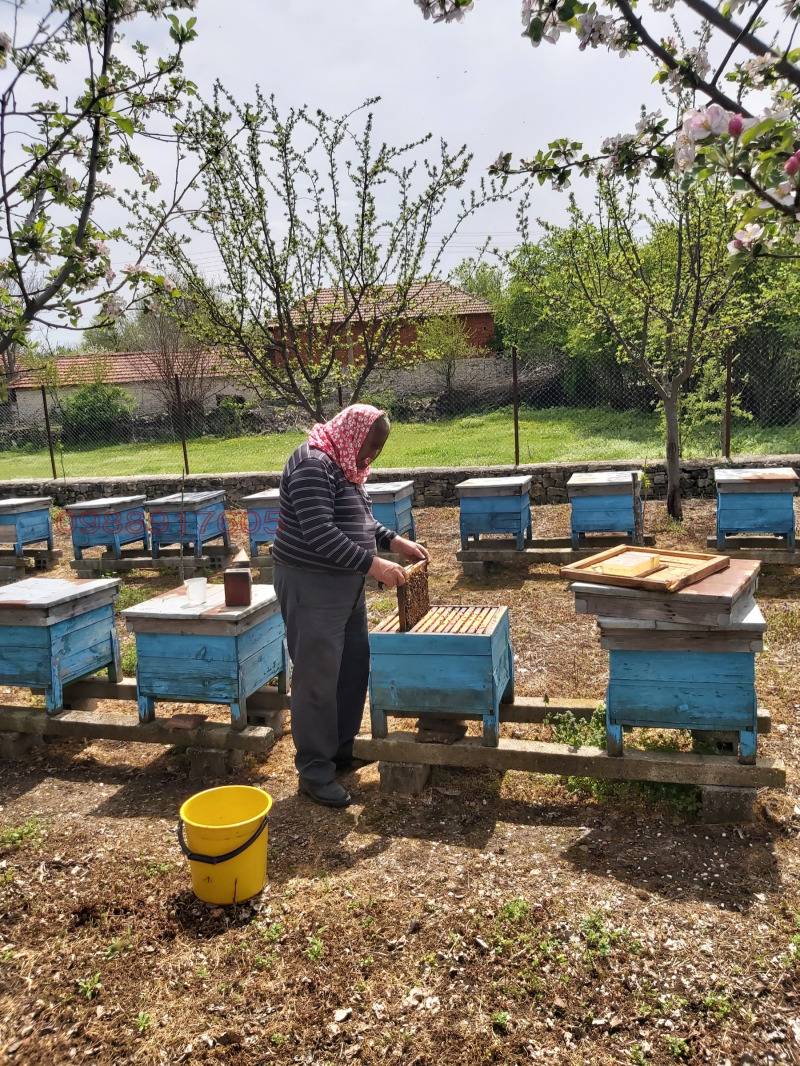 Продава КЪЩА, с. Камено поле, област Враца, снимка 13 - Къщи - 53573151