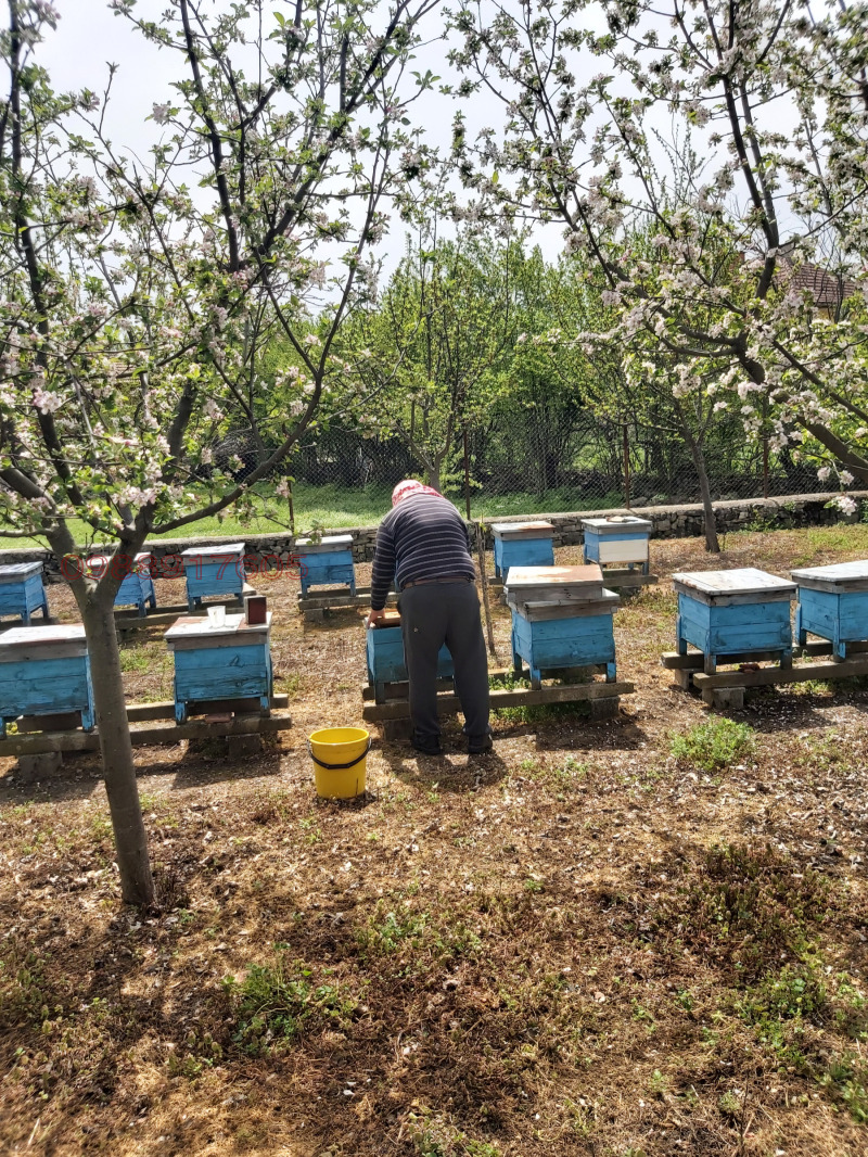 Продава КЪЩА, с. Камено поле, област Враца, снимка 14 - Къщи - 53573151