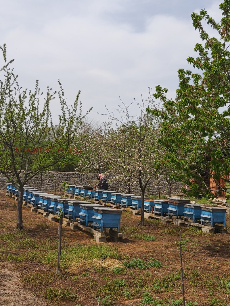 Продава КЪЩА, с. Камено поле, област Враца, снимка 12 - Къщи - 53573151