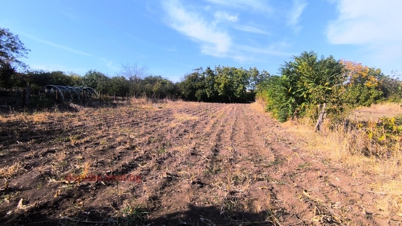 Продава ПАРЦЕЛ, с. Просена, област Русе, снимка 2 - Парцели - 53010125