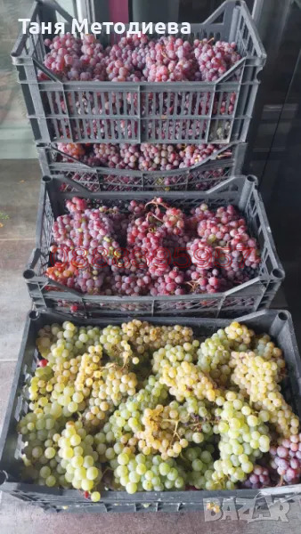 ������� ���������� ���� | Imot.bg � ����������� 11