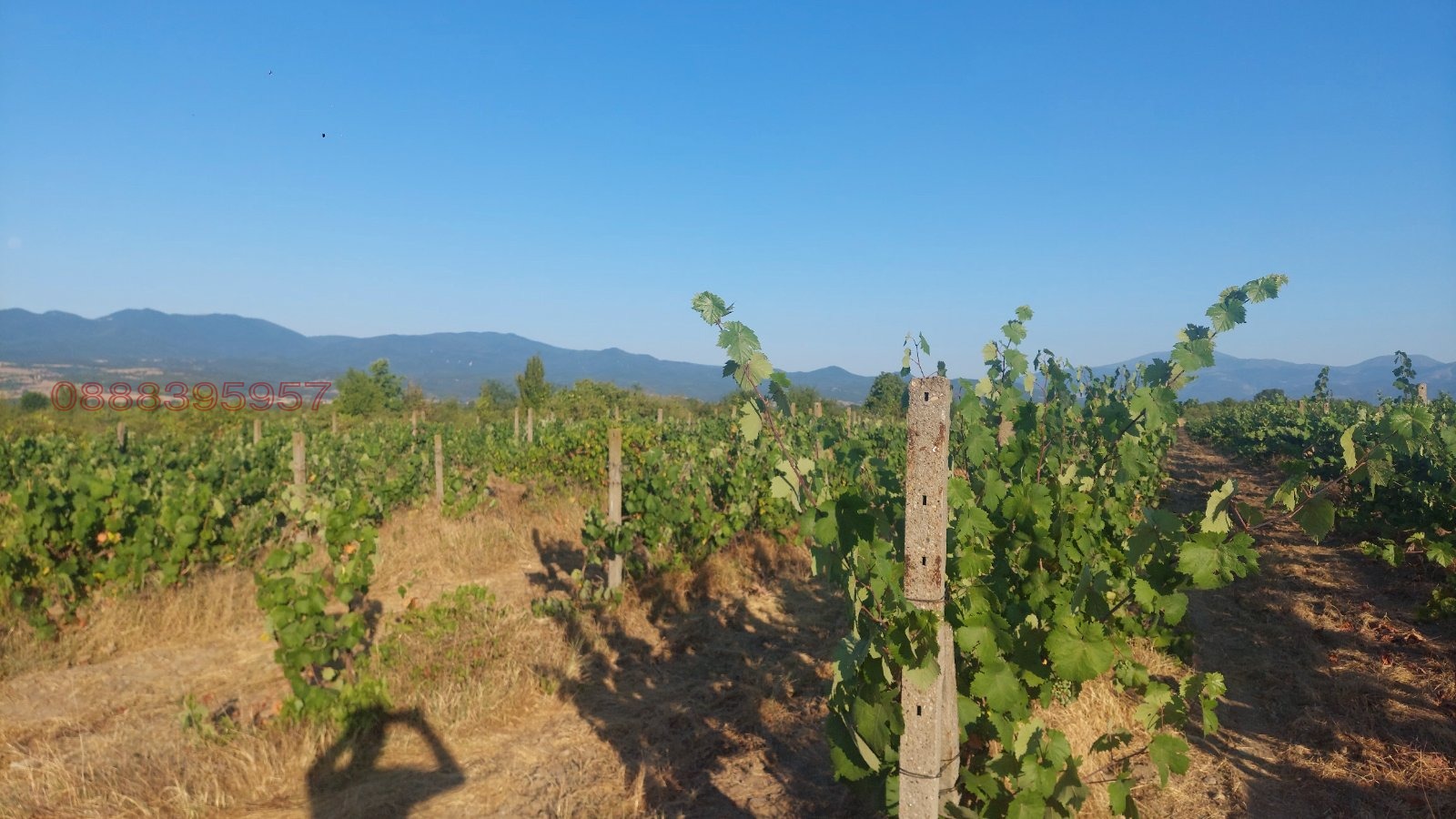 ������� ���������� ���� | Imot.bg � ����������� 8