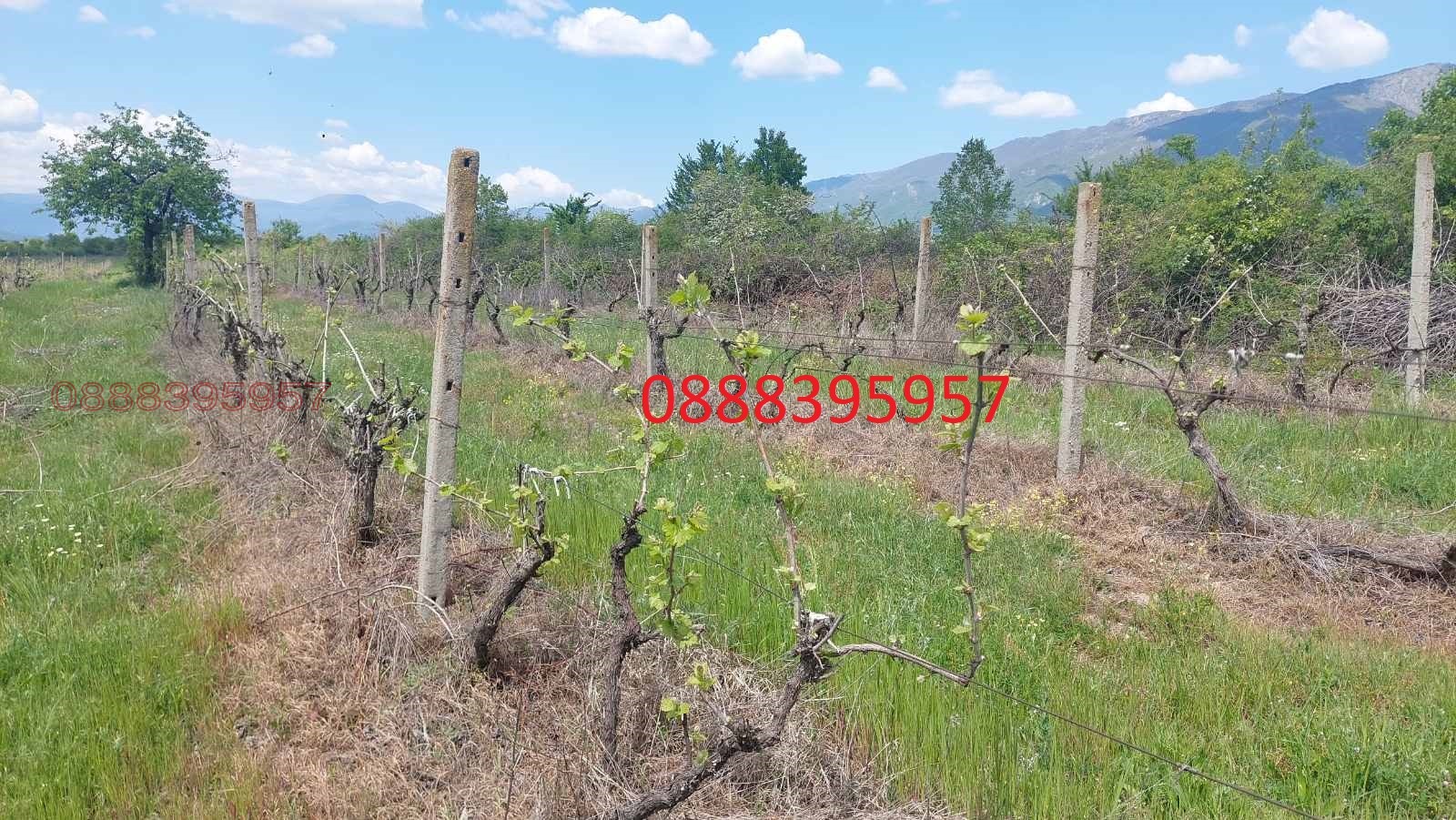 ������� ���������� ���� | Imot.bg � ����������� 2