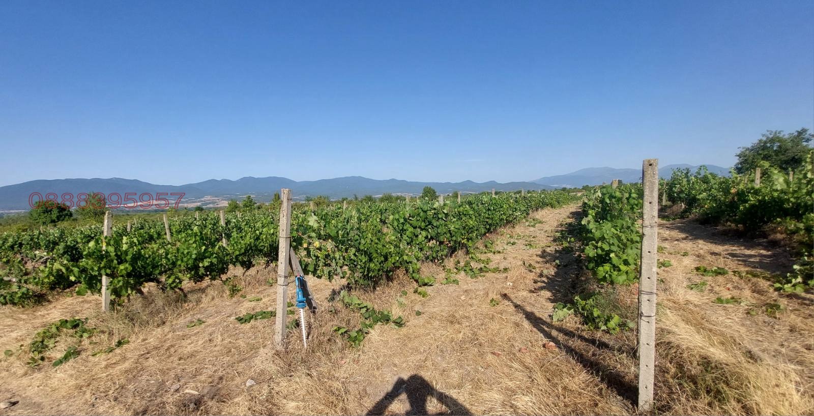 ������� ���������� ���� | Imot.bg � ����������� 10