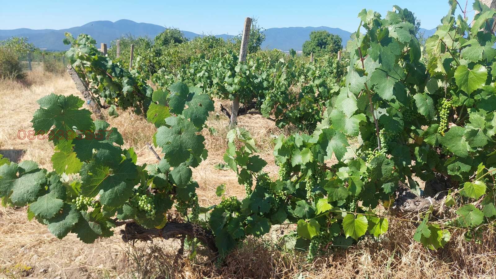 ������� ���������� ���� | Imot.bg � ����������� 9