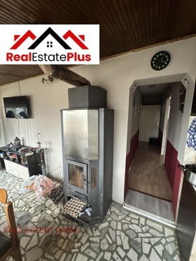 ����� ������� ����,���� ������, ����� ������