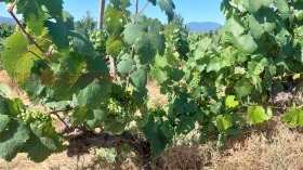 ������� ���������� ���� | Imot.bg � ����� ������ 6