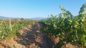 ������� ���������� ���� | Imot.bg � ����� ������ 7