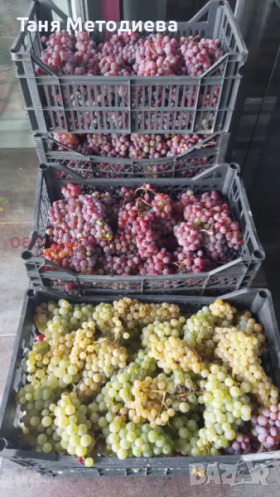 ������� ���������� ���� | Imot.bg � ����� ������ 11